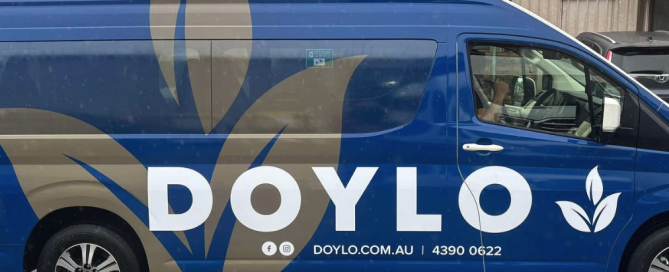 Side view of a blue Doylo van featuring custom vehicle graphics, leaf patterns, and branded window wrap.