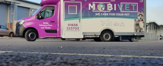 MobiVet clinic vehicle with perforated Contra Vision window film for advertising and privacy.