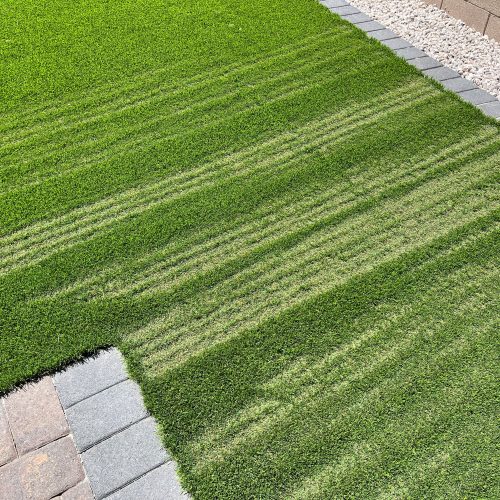 Streaks of heat damage caused by sun magnification, known as scorched burn marks, on artificial grass.